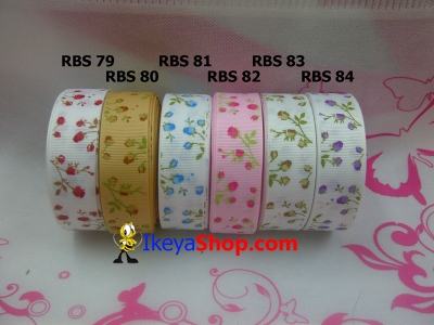 Pita RBS 79 84  large2